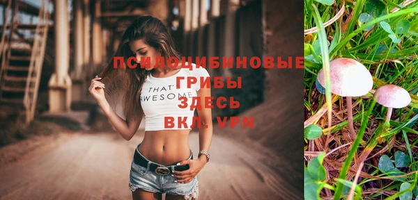 альфа пвп Армянск