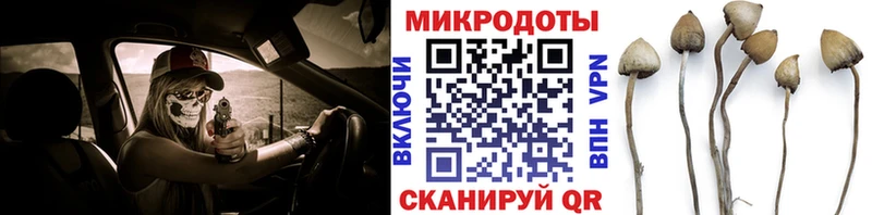 Псилоцибиновые грибы Psilocybe  площадка формула  Сердобск 